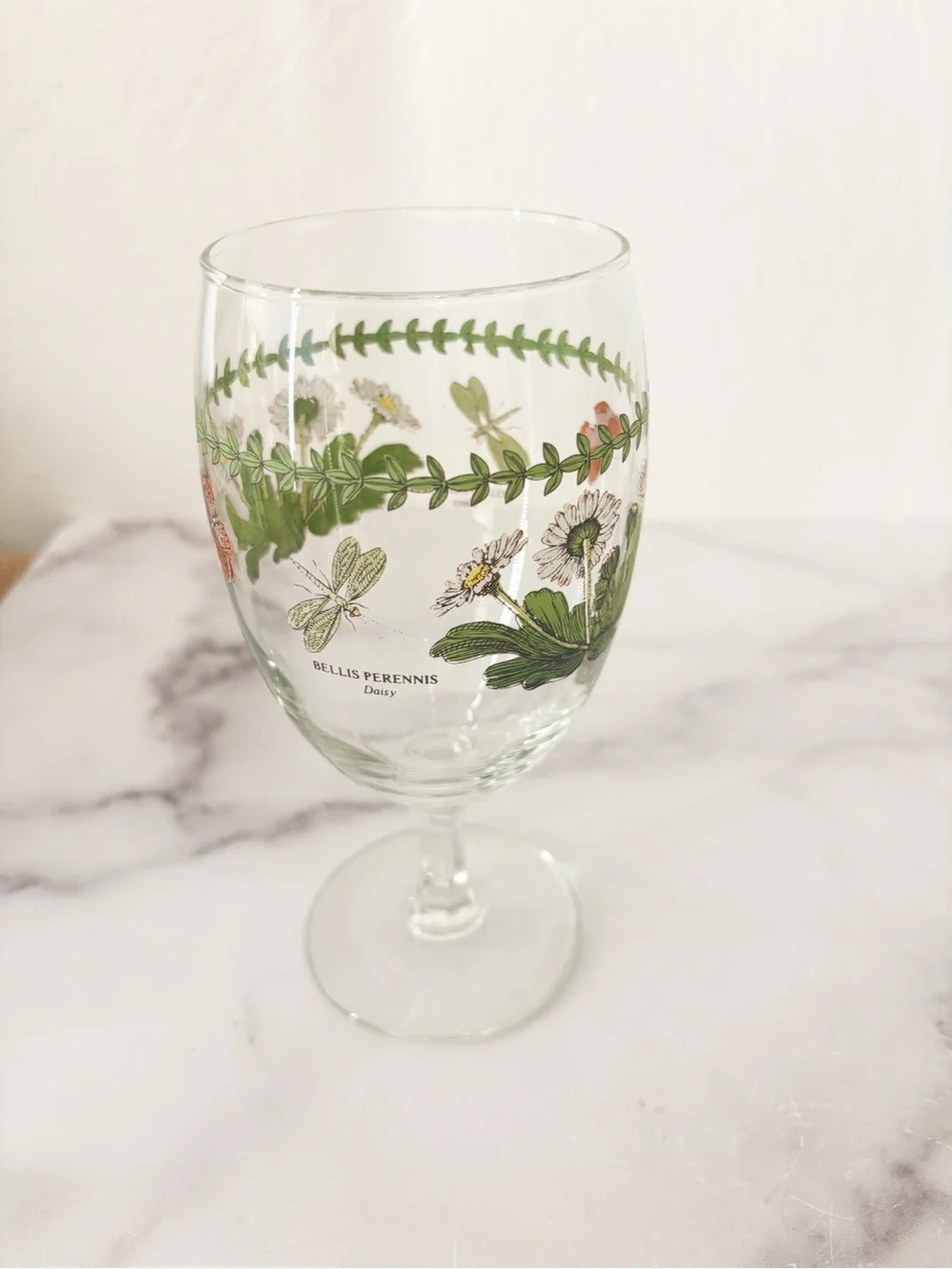 Portmeirion Botanic Garden Botanical & Butterfly Stemmed Glass - Daisy